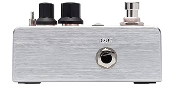 Amazon.com: Fishman AFX AcoustiVerb Reverb Pedal : Musical